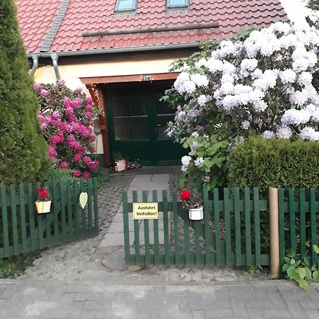 ターレ Harzglueckヴィラ エクステリア 写真